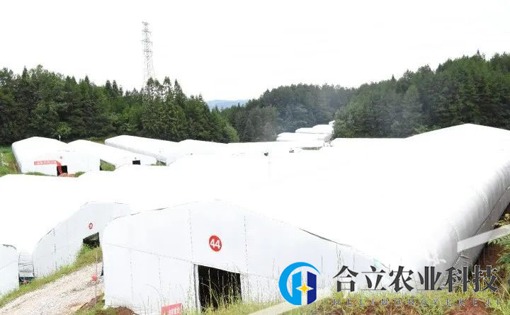重慶石柱縣：這個(gè)食用菌基地建成投產(chǎn)
